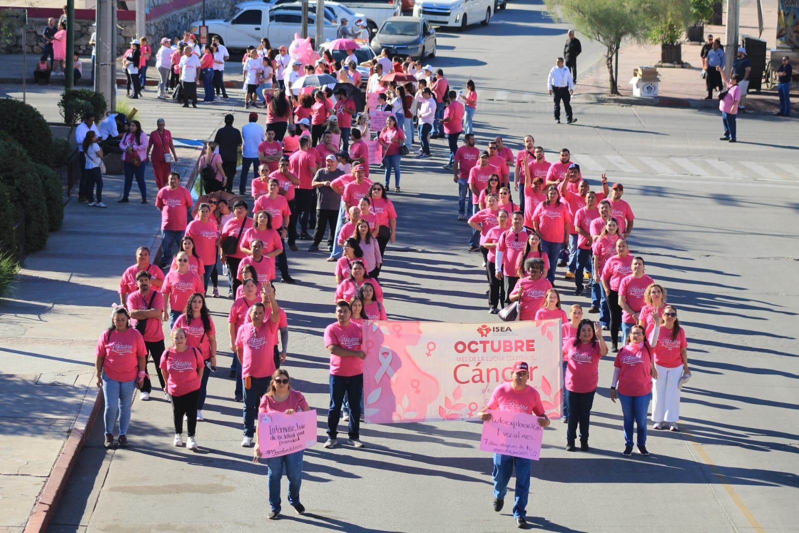 565715965_1223413273146206_682708189831768088_n