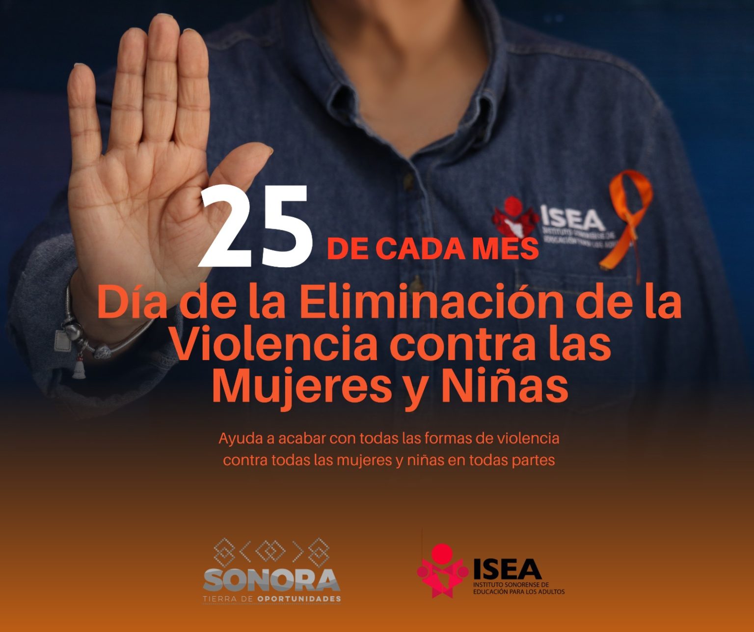 de7bf385-204b-43e0-a77e-23146a1e4f41